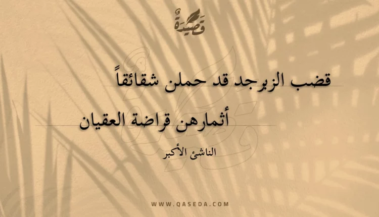 قصيدة قضب الزبرجد قد حملن شقائقا