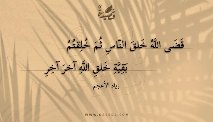 قصيدة قضى الله خلق الناس ثم خلقتم