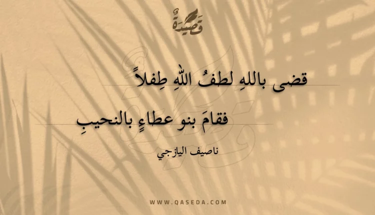 قصيدة قضى بالله لطف الله طفلا