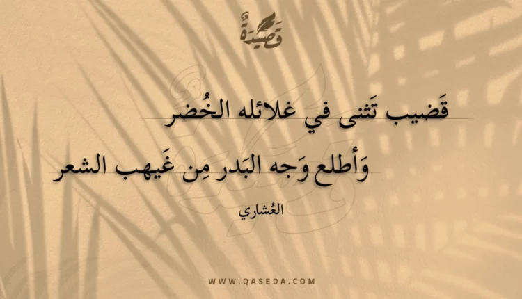 قصيدة قضيب تثنى في غلائله الخضر