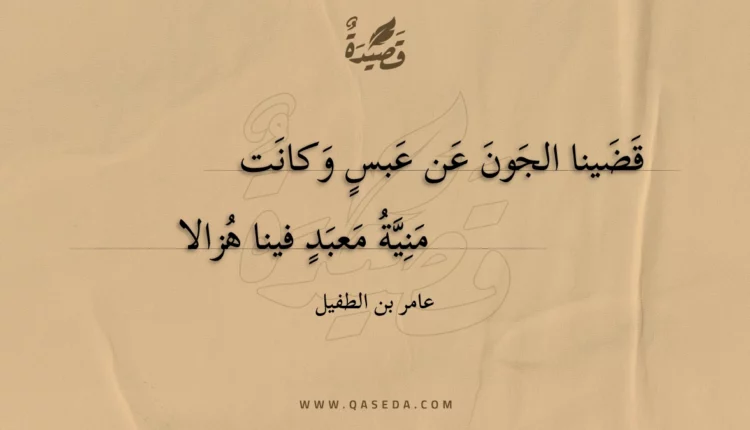 قصيدة قضينا الجون عن عبس وكانت