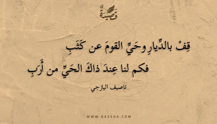 قصيدة قف بالديار وحي القوم عن كثب