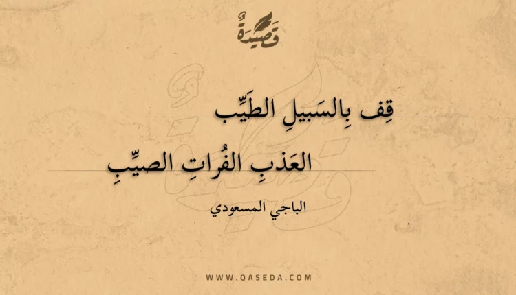 قصيدة قف بالسبيل الطيب