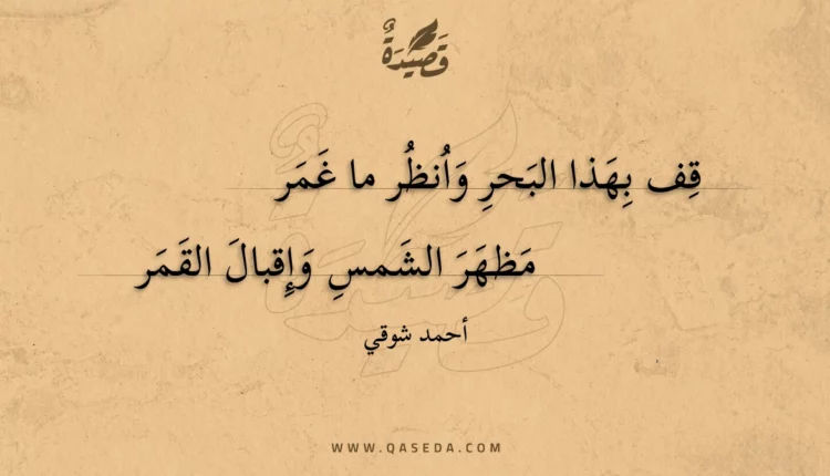 قصيدة قف بهذا البحر وانظر ما غمر