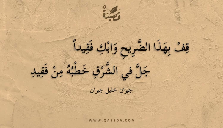 قصيدة قف بهذا الضريح وابك فقيدا