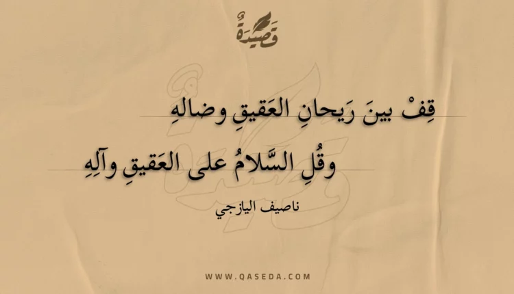 قصيدة قف بين ريحان العقيق وضاله