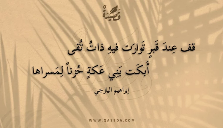 قصيدة قف عند قبر توارت فيه ذات تقى