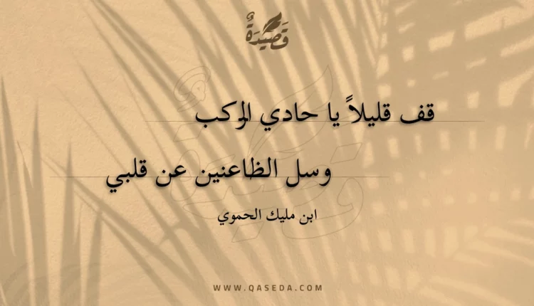 قصيدة قف قليلاً يا حادي الركب