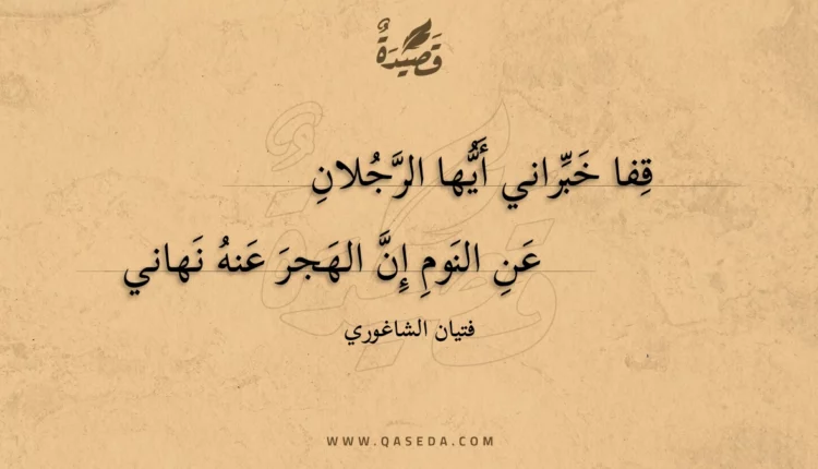 قصيدة قفا خبراني أيها الرجلان
