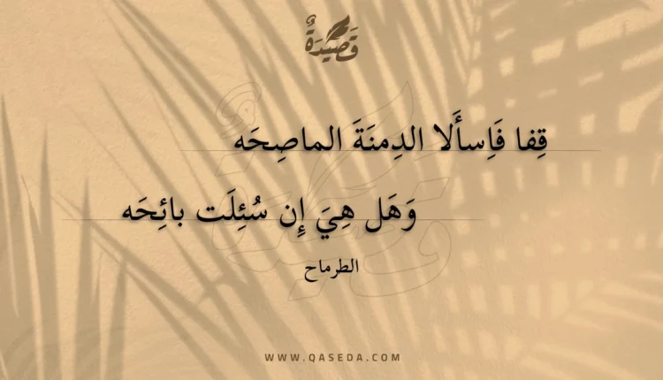 قصيدة قفا فاسألا الدمنة الماصحه