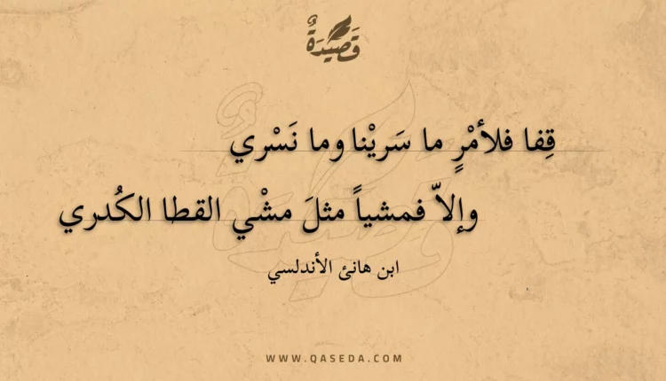 قصيدة قفا فلأمر ما سرينا وما نسري