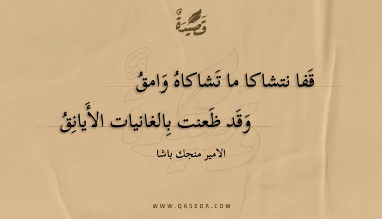 قصيدة قفا نتشاكا ما تشاكاه وامق