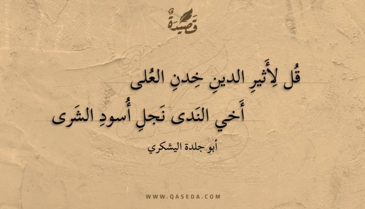 قصيدة قل لأثير الدين خدن العلى