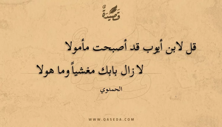 قصيدة قل لابن أيوب قد أصبحت مأمولا