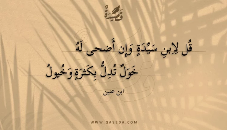 قصيدة قل لابن سيدة وإن أضحى له