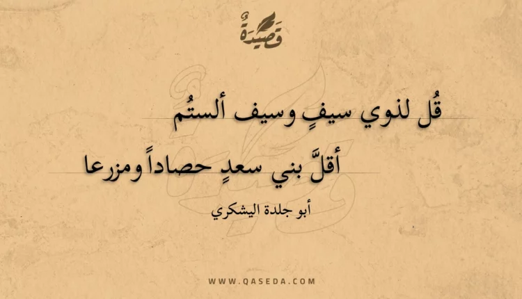 قصيدة قل لذوي سيف وسيف ألستم