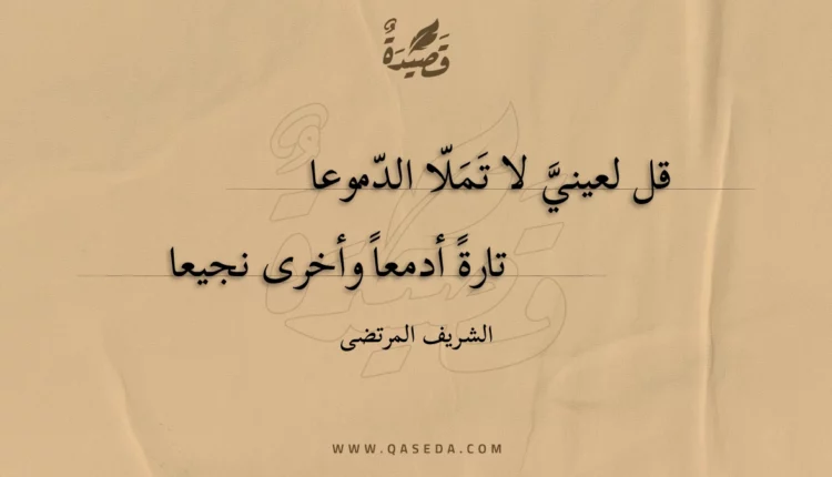 قصيدة قل لعيني لا تملا الدموعا