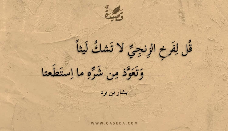 قصيدة قل لفرخ الزنجي لا تشك ليثا