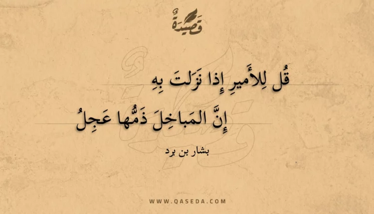 قصيدة قل للأمير إذا نزلت به