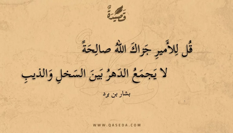 قصيدة قل للأمير جزاك الله صالحة