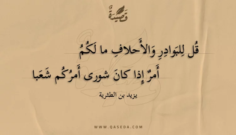 قصيدة قل للبوادر والأحلاف ما لكم