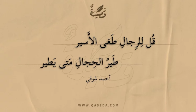 قصيدة قل للرجال طغى الأسير