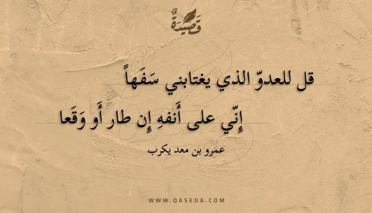 قصيدة قل للعدو الذي يغتابني سفها