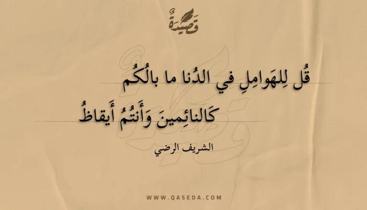 قصيدة قل للهوامل في الدنا ما بالكم