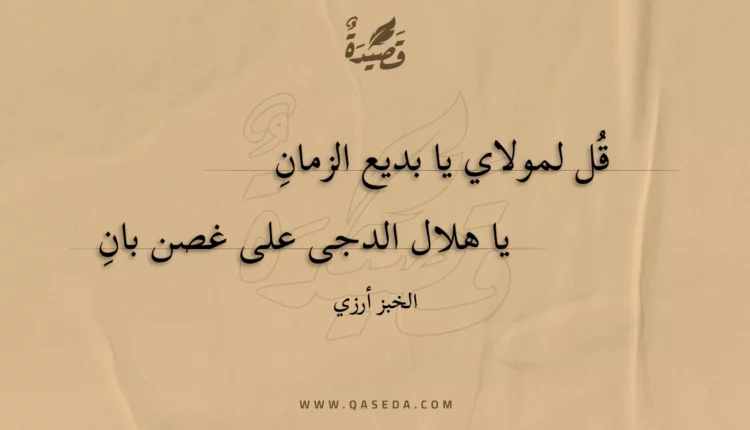 قصيدة قل لمولاي يا بديع الزمان
