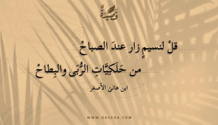 قصيدة قل لنسيم زار عند الصباح