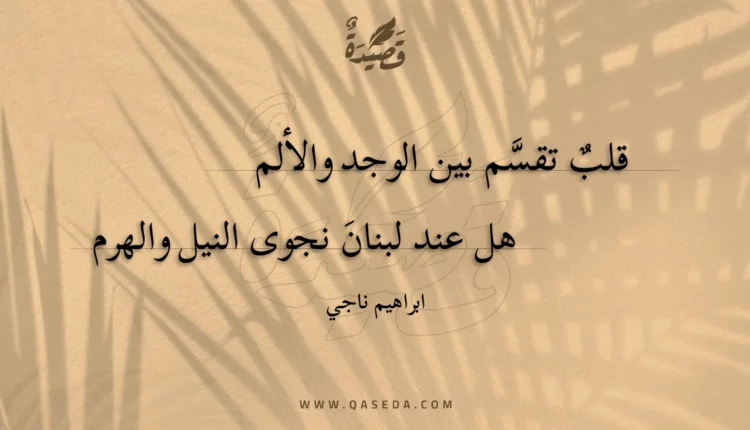قصيدة قلب تقسم بين الوجد والألم