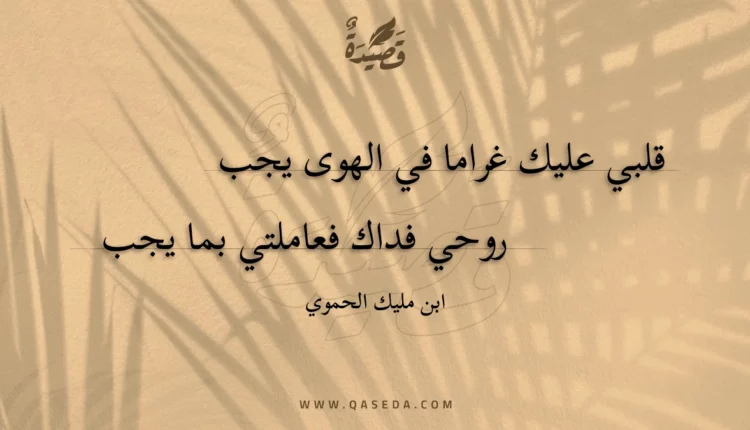 قصيدة قلبي عليك غراما في الهوى يجب