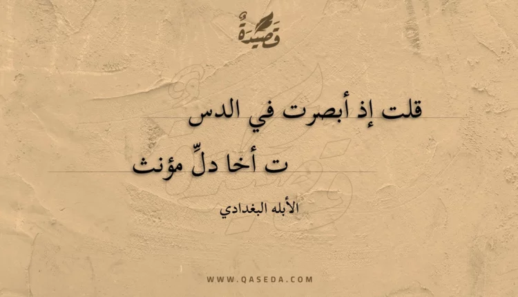 قصيدة قلت إذ أبصرت في الدست