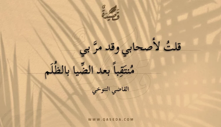 قصيدة قلت لأصحابي وقد مر بي