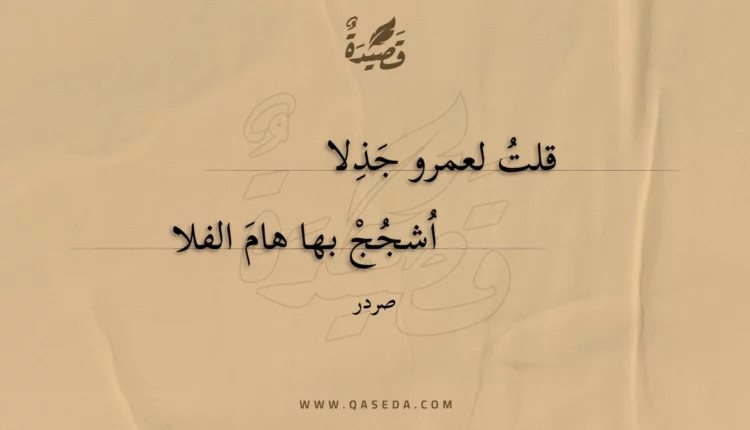 قصيدة قلت لعمرو جذلا