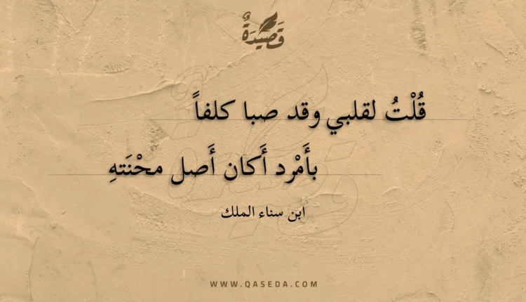 قصيدة قلت لقلبي وقد صبا كلفاً