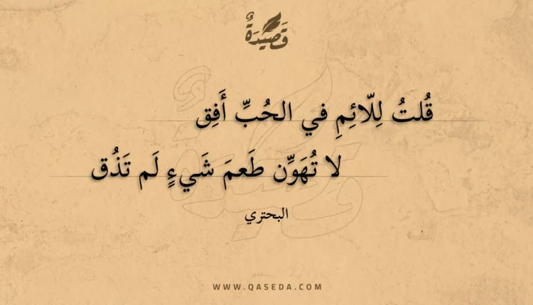 قصيدة قلت للائم في الحب أفق