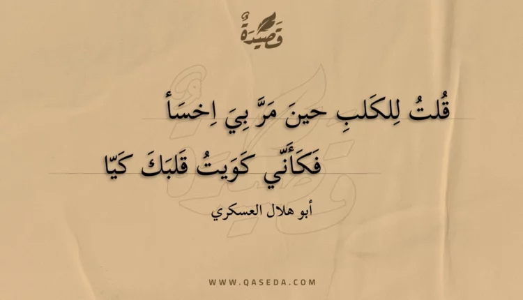 قصيدة قلت للكلب حين مر بي اخسأ