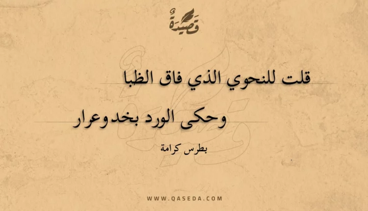 قصيدة قلت للنحوي الذي فاق الظبا