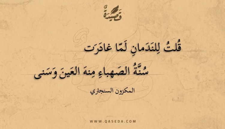 قصيدة قلت للندمان لما غادرت