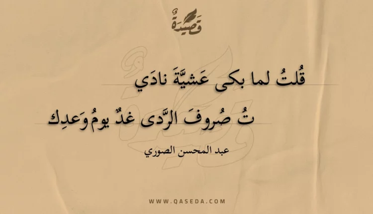 قصيدة قلت لما بكى عشية ناديت