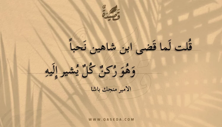 قصيدة قلت لما قضى ابن شاهين نحبا