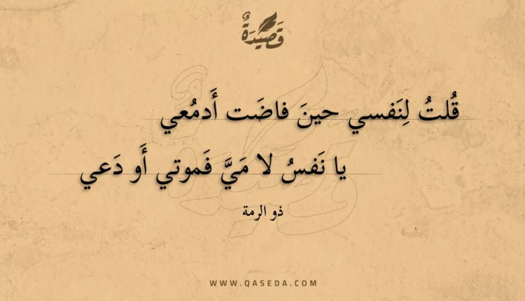 قصيدة قلت لنفسي حين فاضت أدمعي