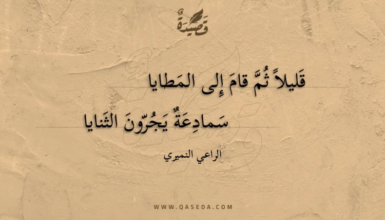 قصيدة قليلا ثم قام إلى المطايا
