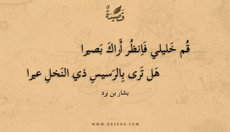 قصيدة قم خليلي فانظر أراك بصيرا