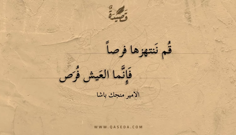 قصيدة قم ننتهزها فرصا