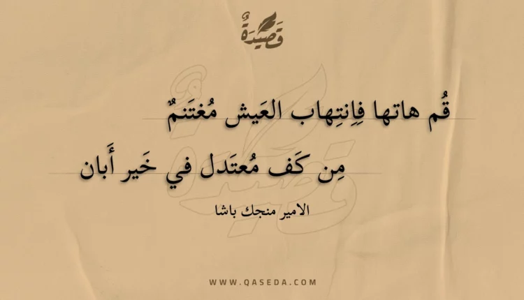 قصيدة قم هاتها فانتهاب العيش مغتنم
