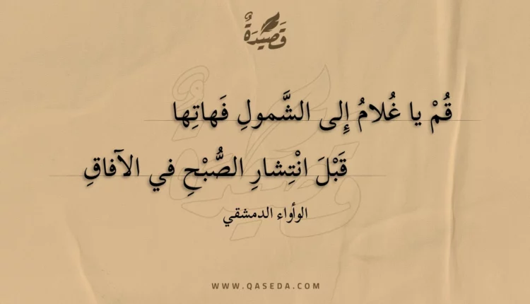 قصيدة قم يا غلام إلى الشمول فهاتها