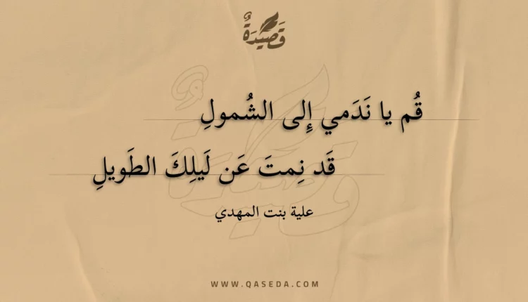 قصيدة قم يا ندمي إلى الشمول