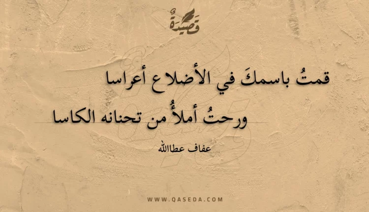 قصيدة قمت باسمك في الأضلاع أعراسا